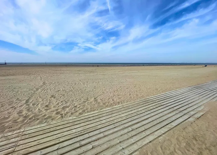 Madeleine Renovee Hyper Centre Trouville-sur-Mer